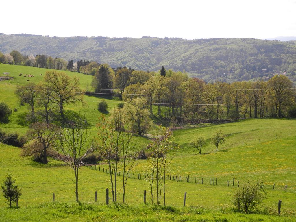 Le Plateau De La Danse Bed & Breakfast Saint-Victor-sur-Loire Luaran gambar
